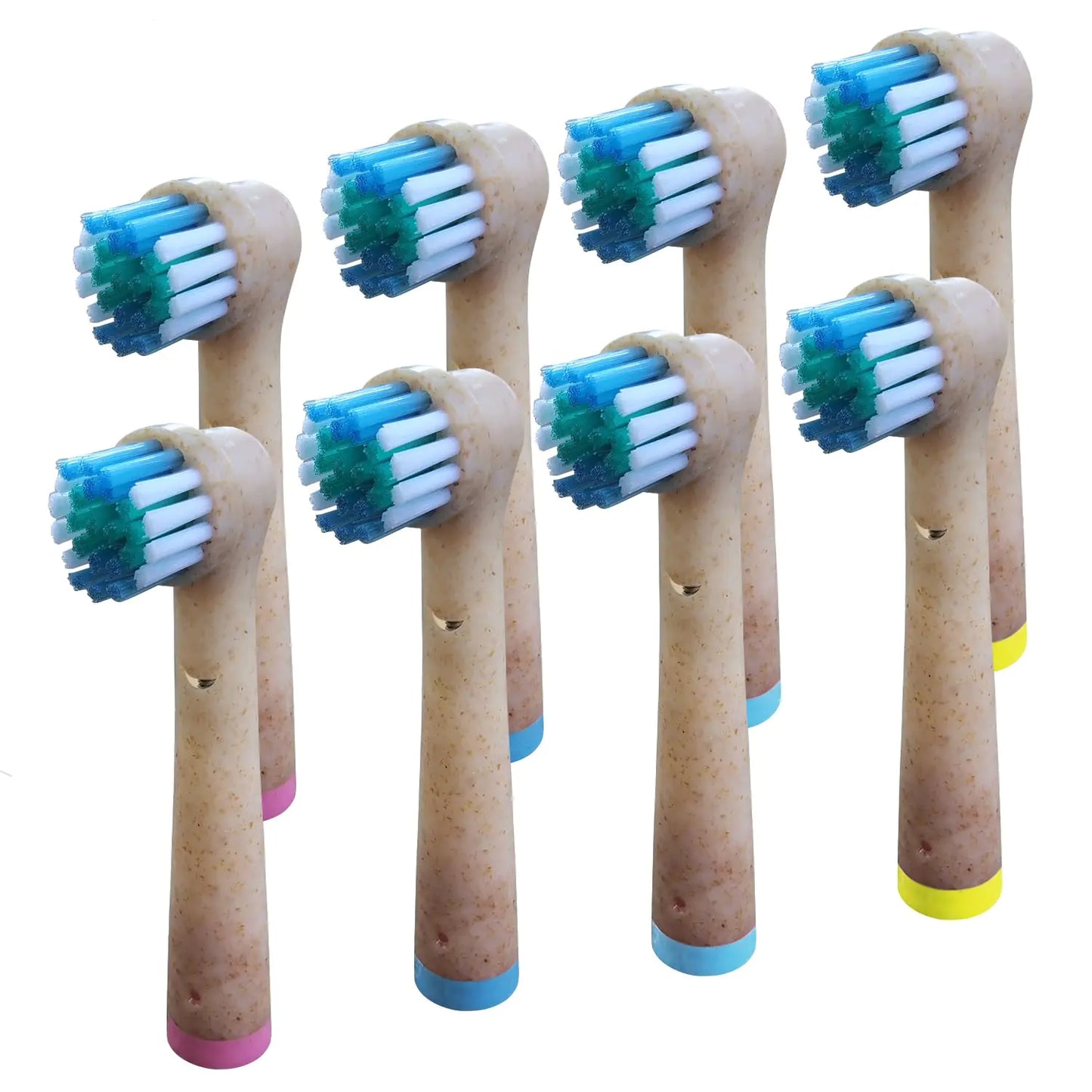 Biodegradable Replacement Toothbrush Heads